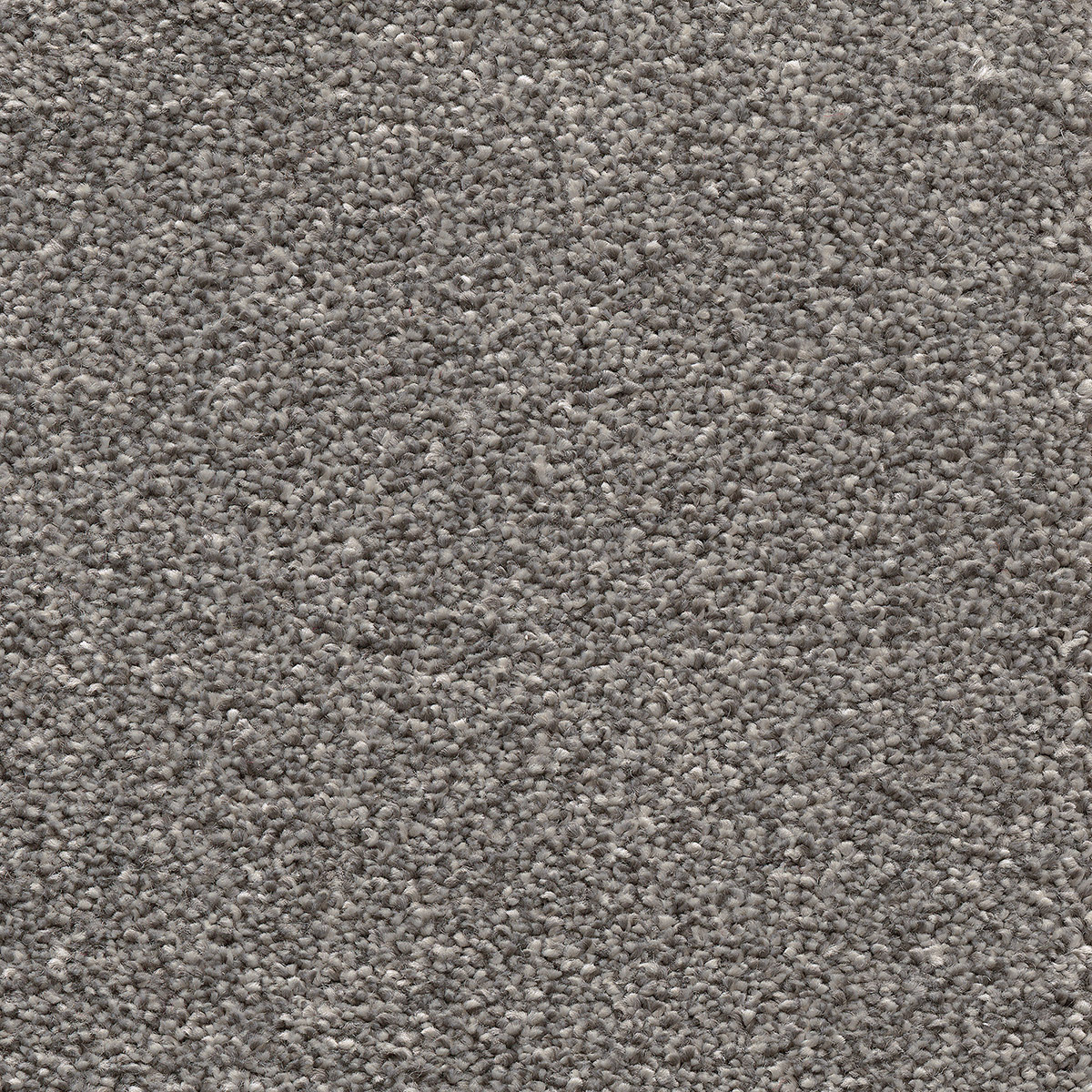 Canopus 30 - Cottonbud