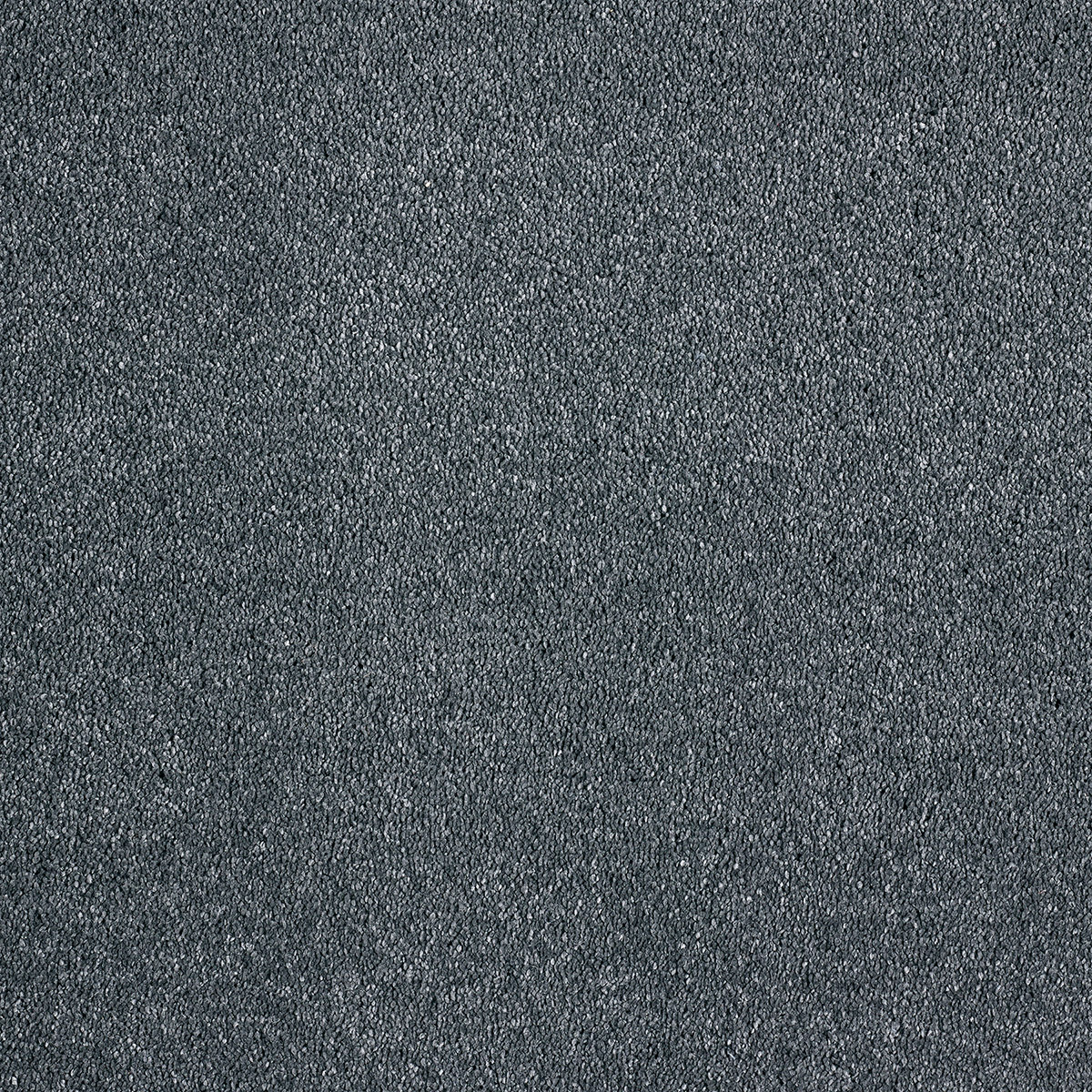 Canopus 30 - Cottonbud
