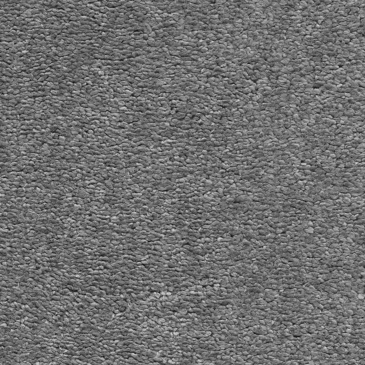 Magnificus 30 - Silkworm