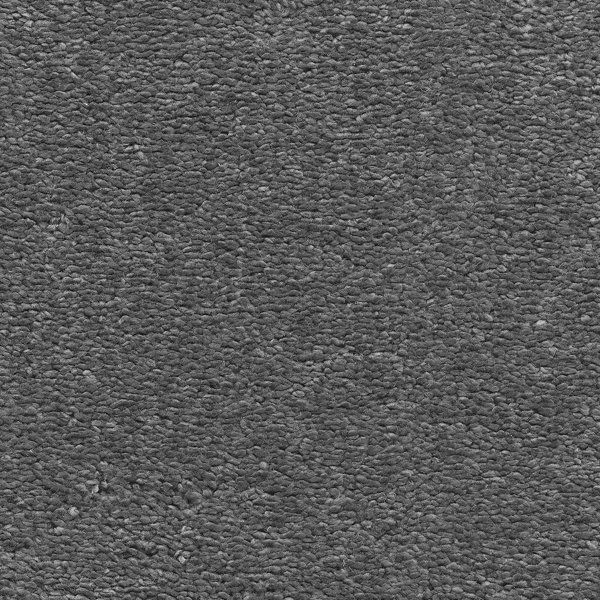 Magnificus 30 - Silkworm