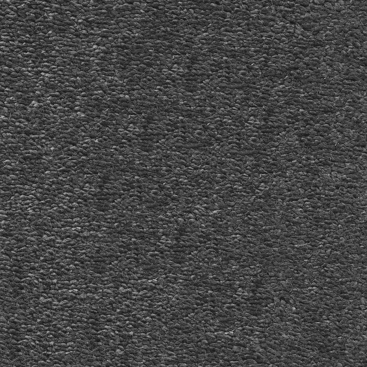 Magnificus 30 - Silkworm