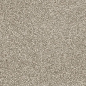 Severus 40 - Pale Birch