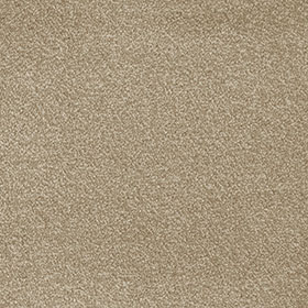 Severus 40 - Pale Birch