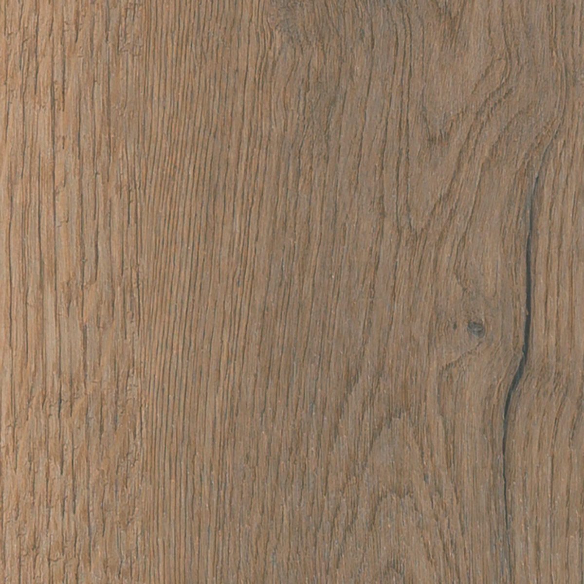 Barn Oak - Saddle macro shot