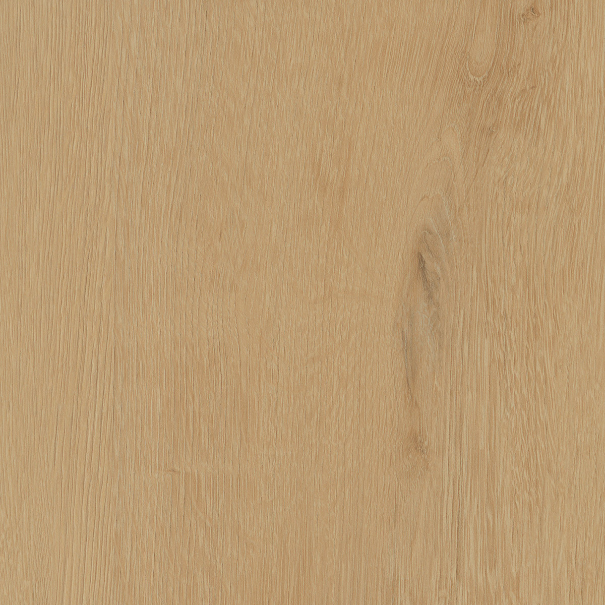 Belrose Oak - Wheat