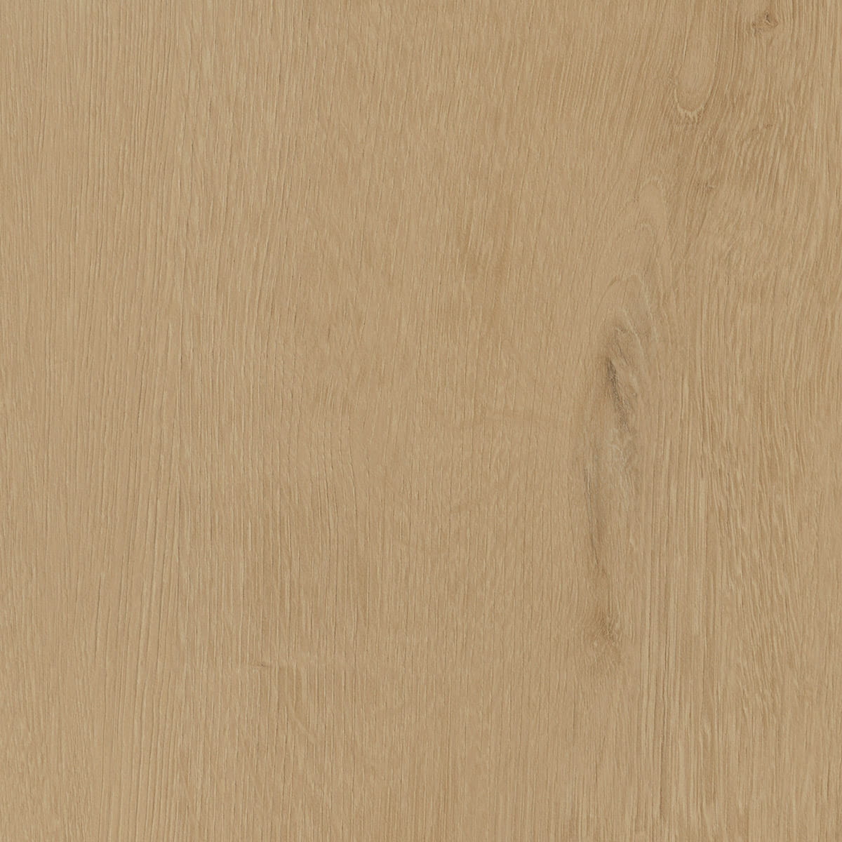 Belrose Oak - Sesame