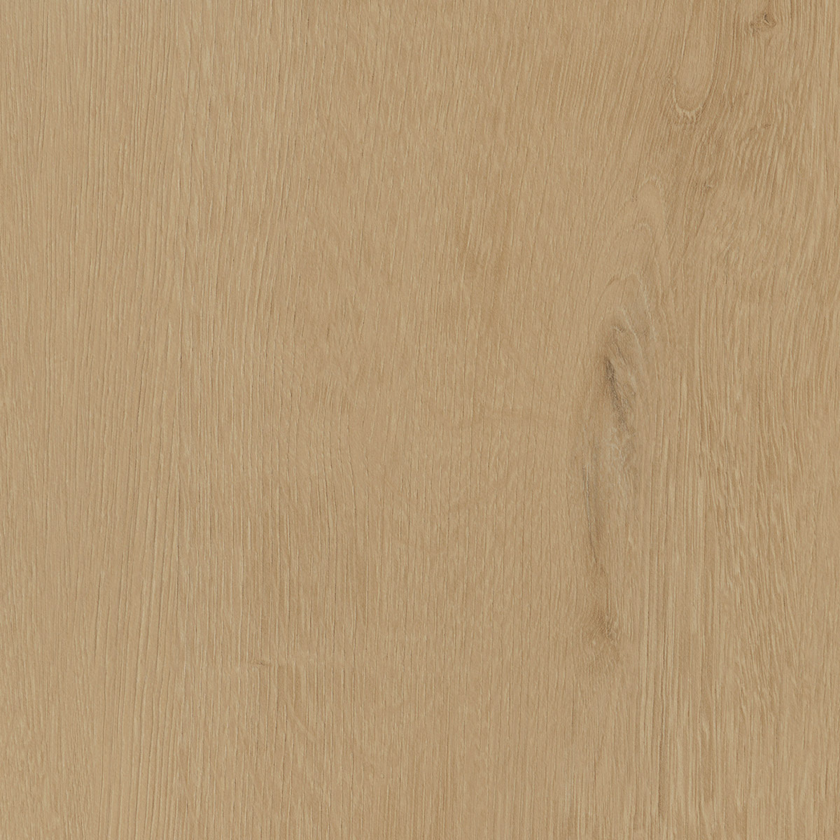 Belrose Oak - Wheat macro shot