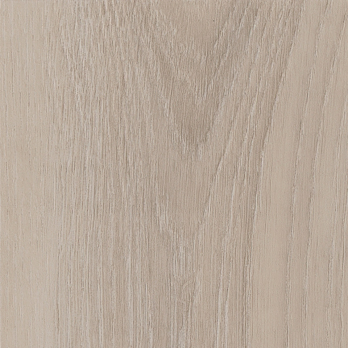 Divine Oak - Cookie