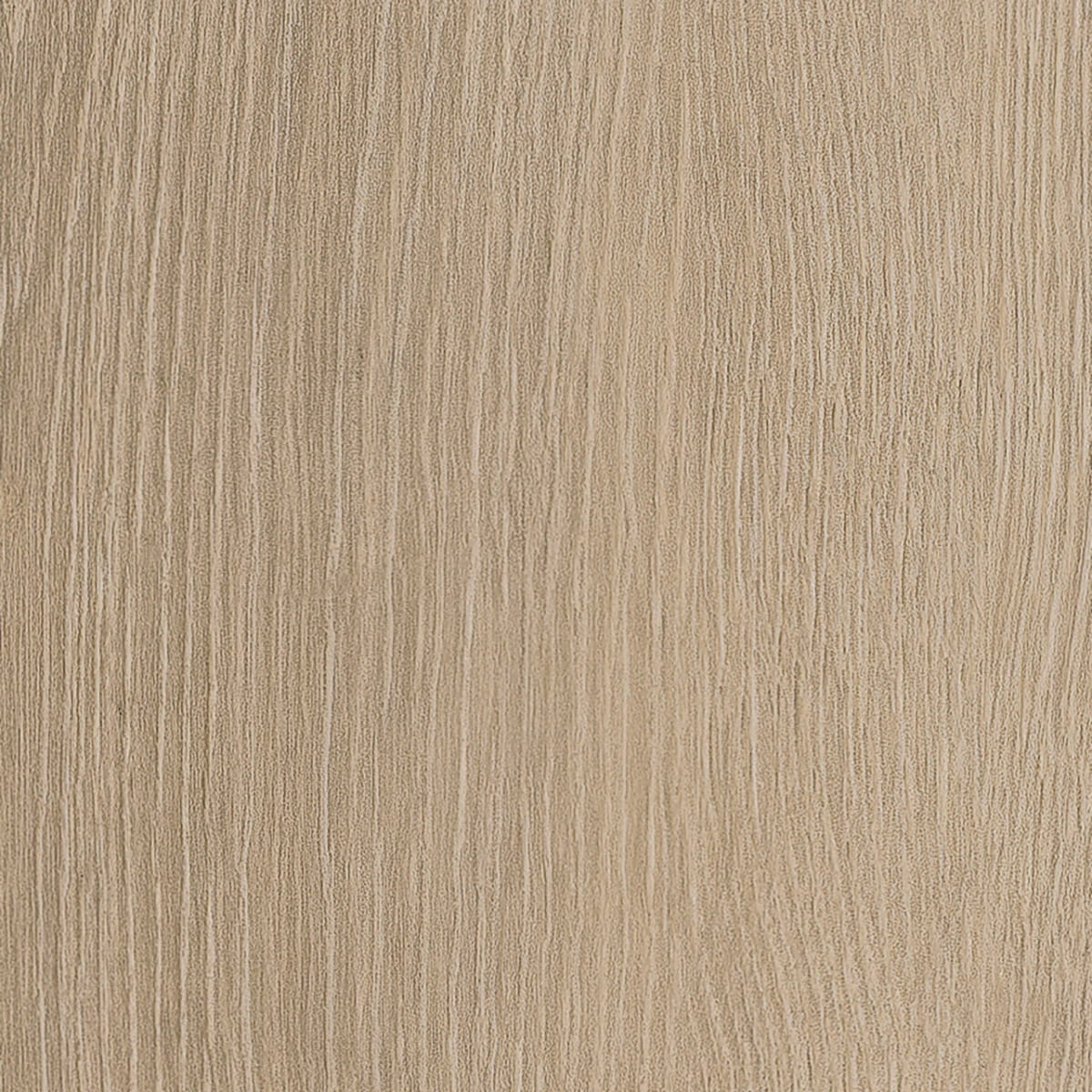 Divine Oak - Champagne