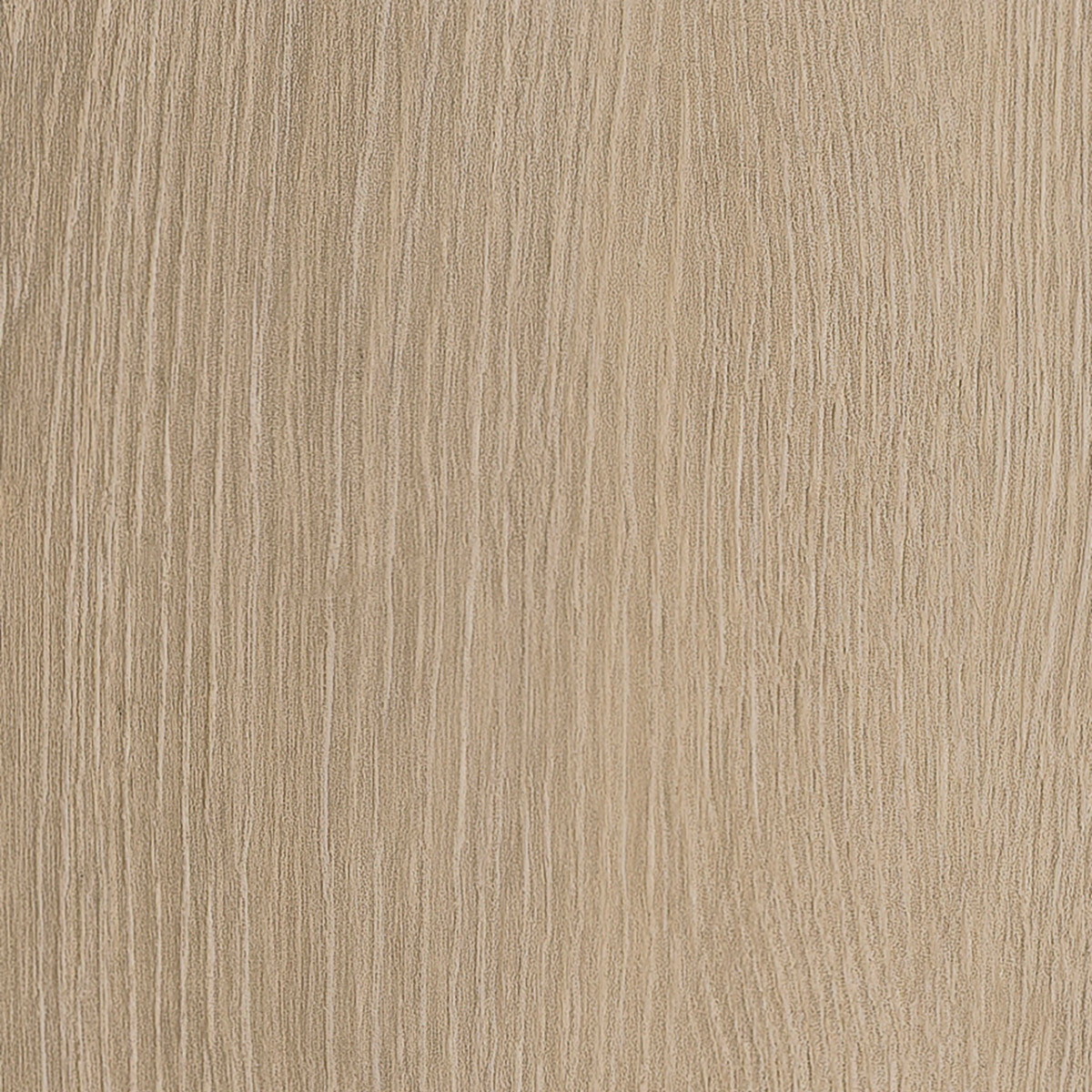 Divine Oak - Cookie