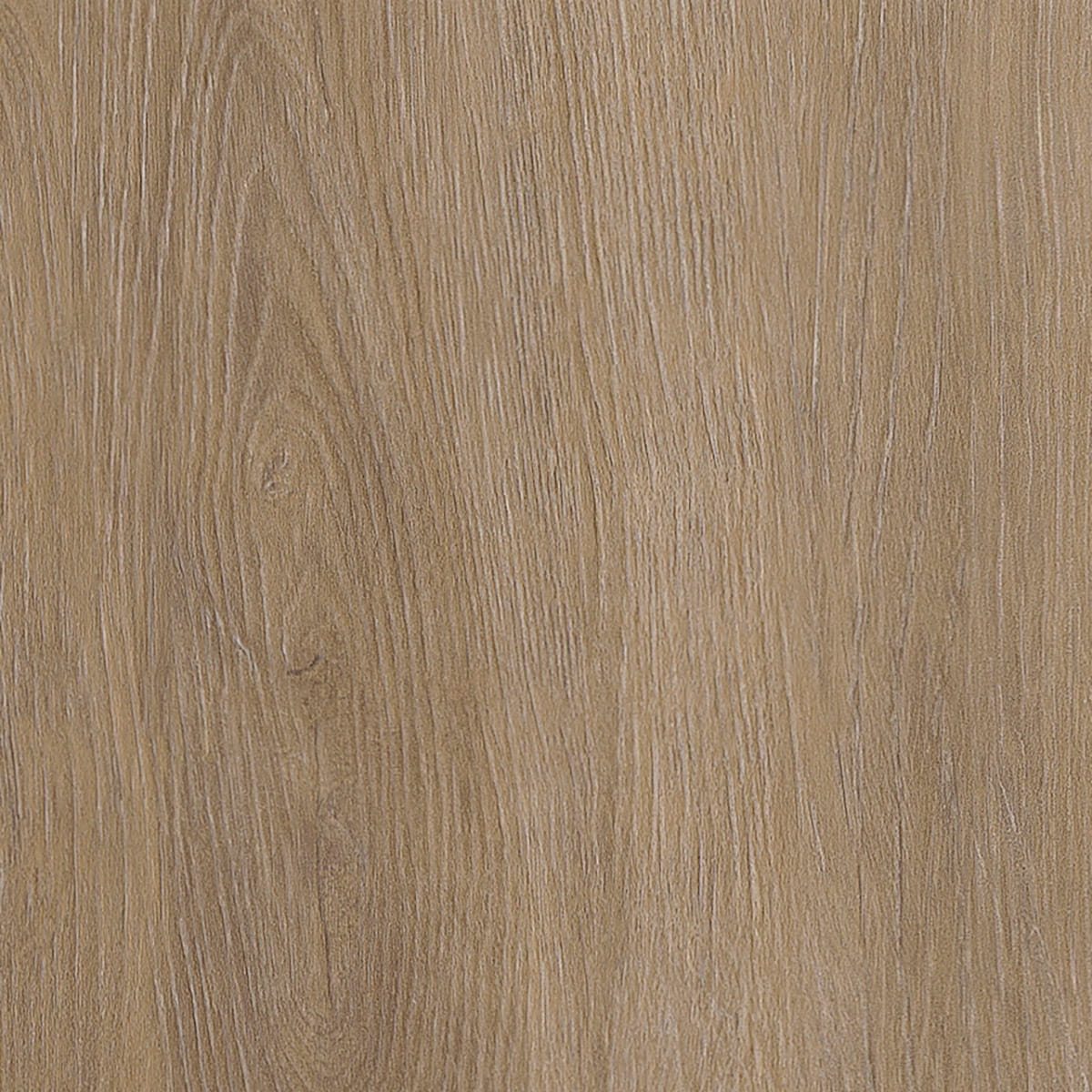 Divine Oak - Champagne