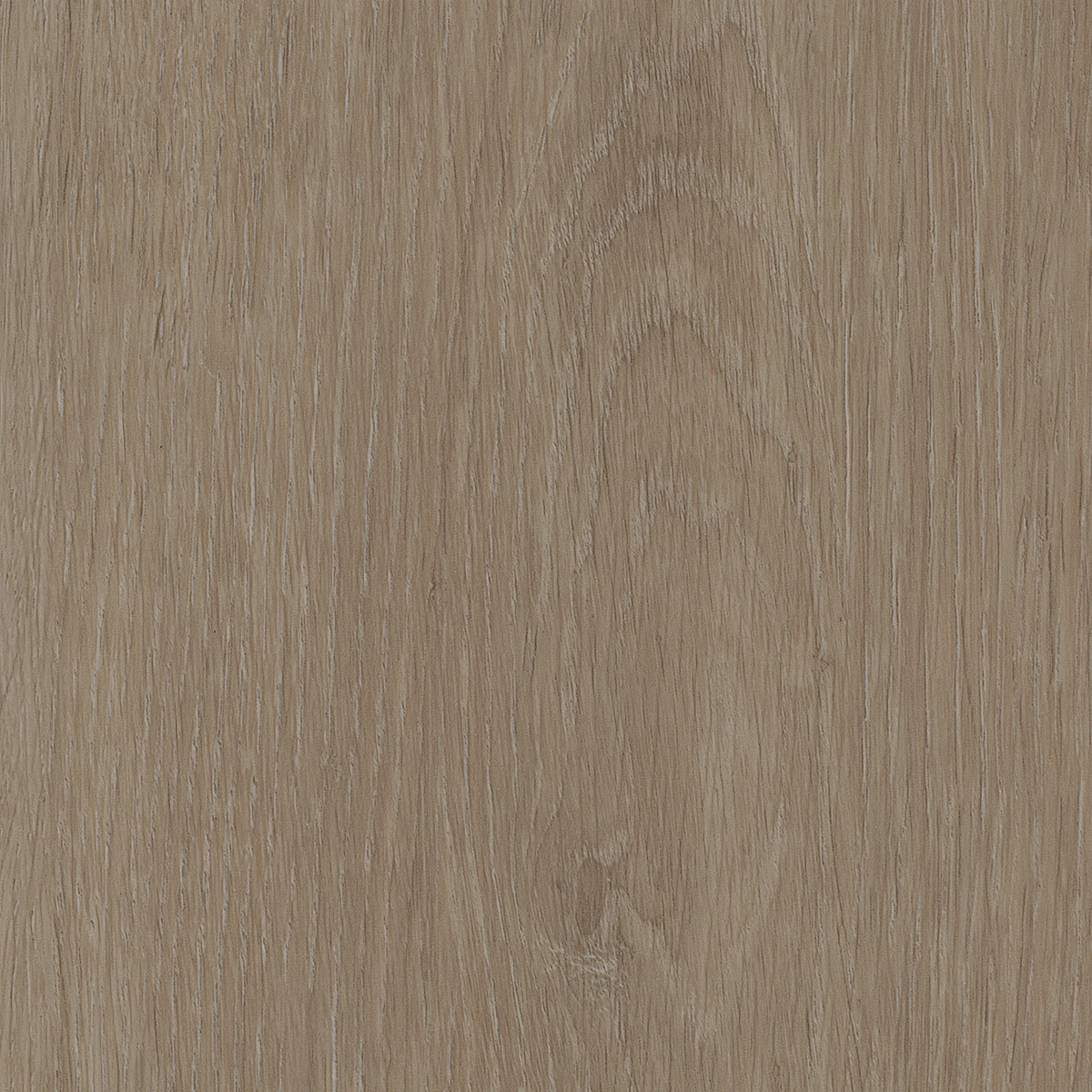 Elegant Oak - Tan macro shot