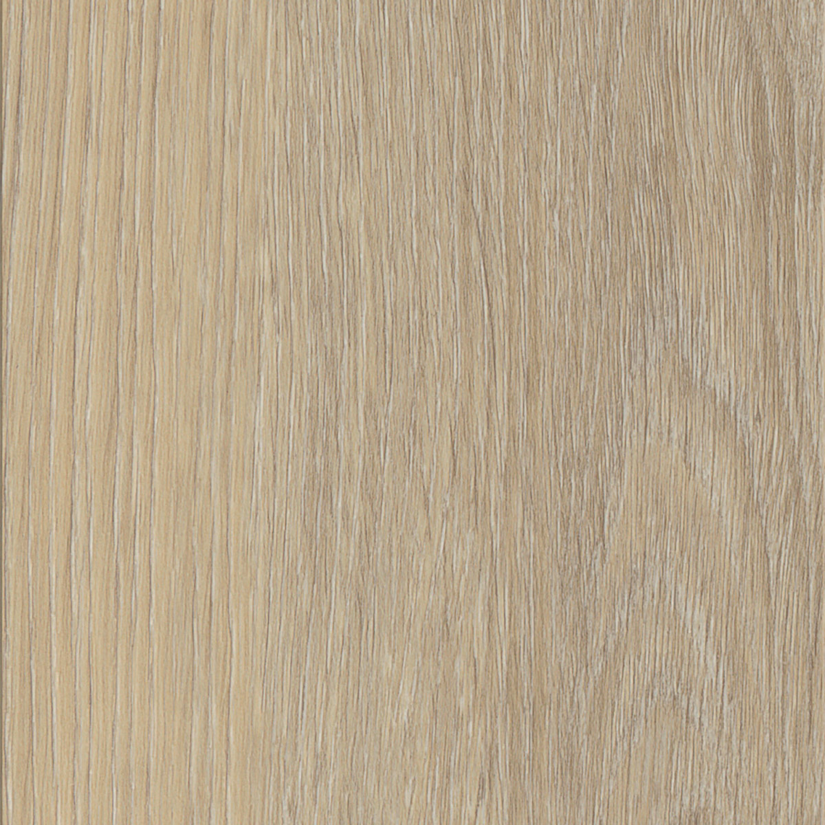 French Oak - Polar