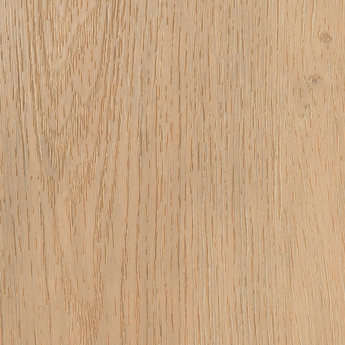 Majestic Oak - Vista