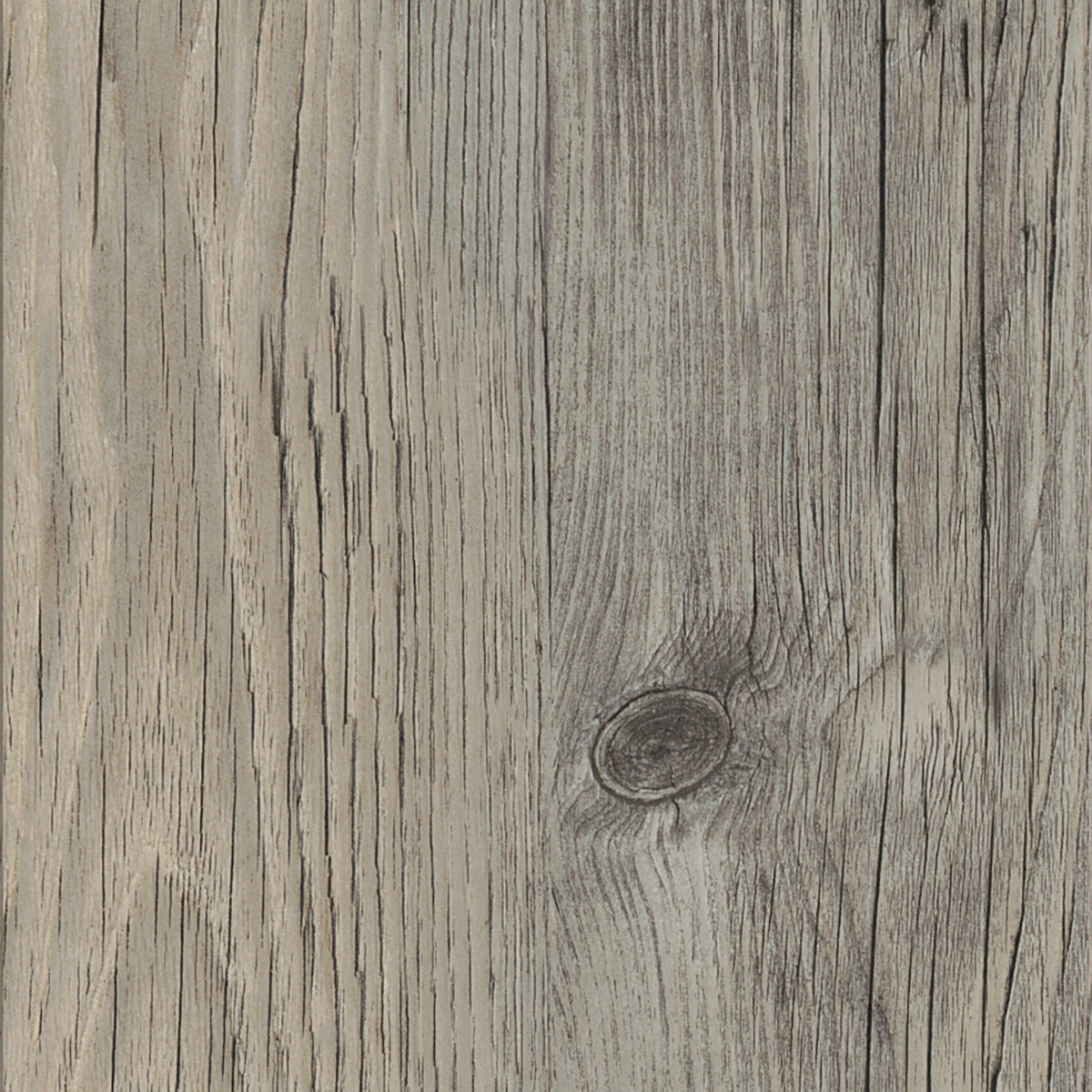 Norwegian Wood - Fjord macro shot