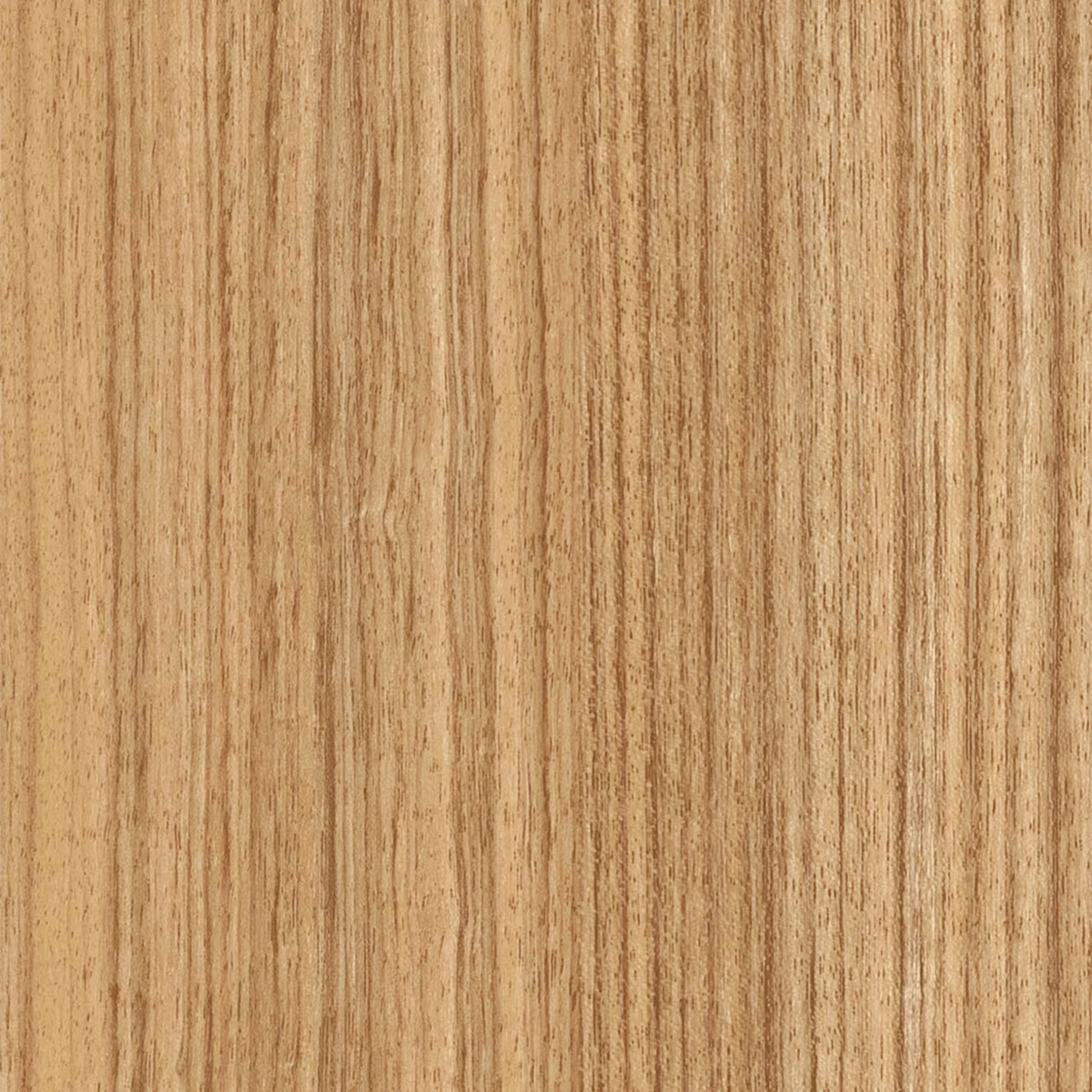 Natural Teak - Amber macro shot