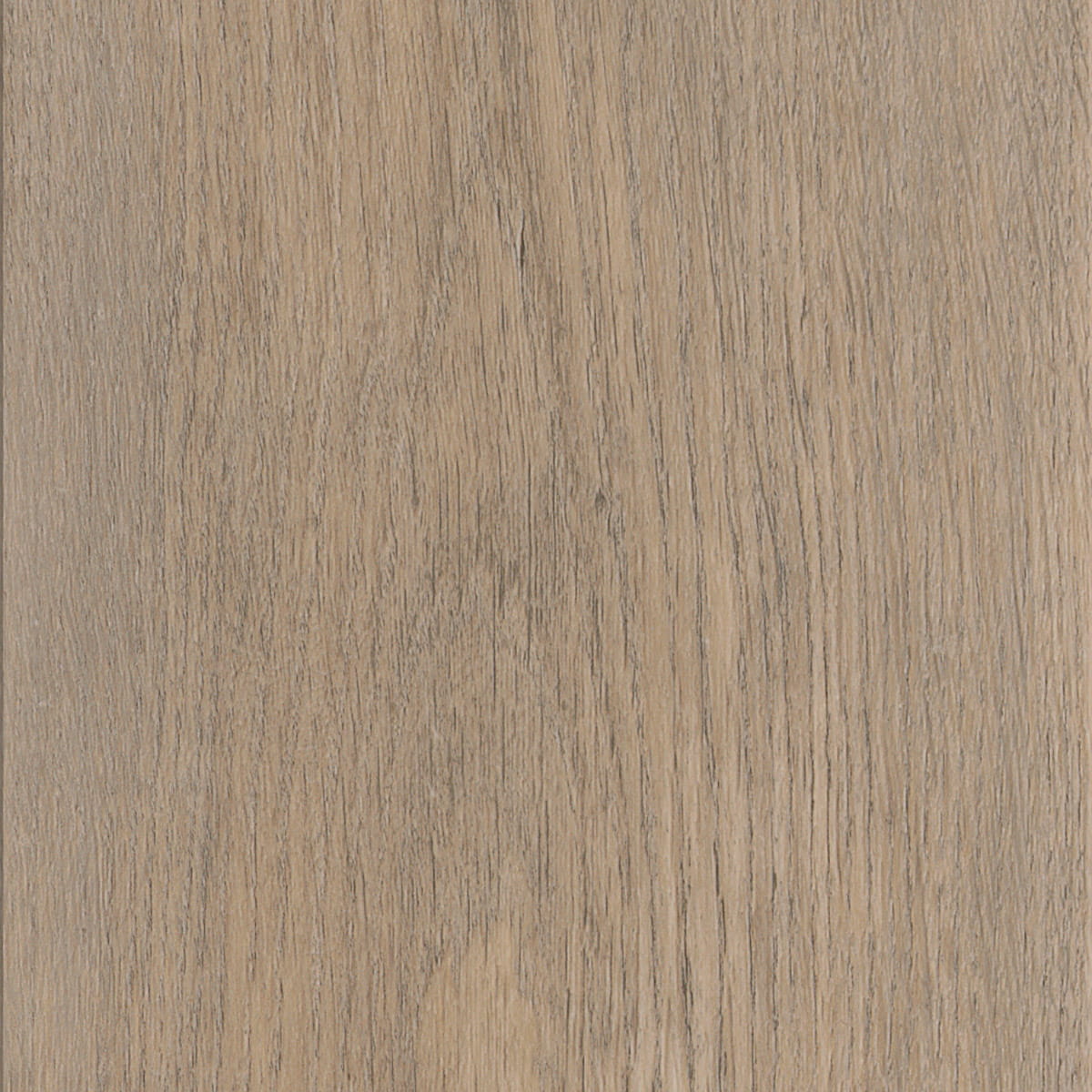 New England Oak - Misty