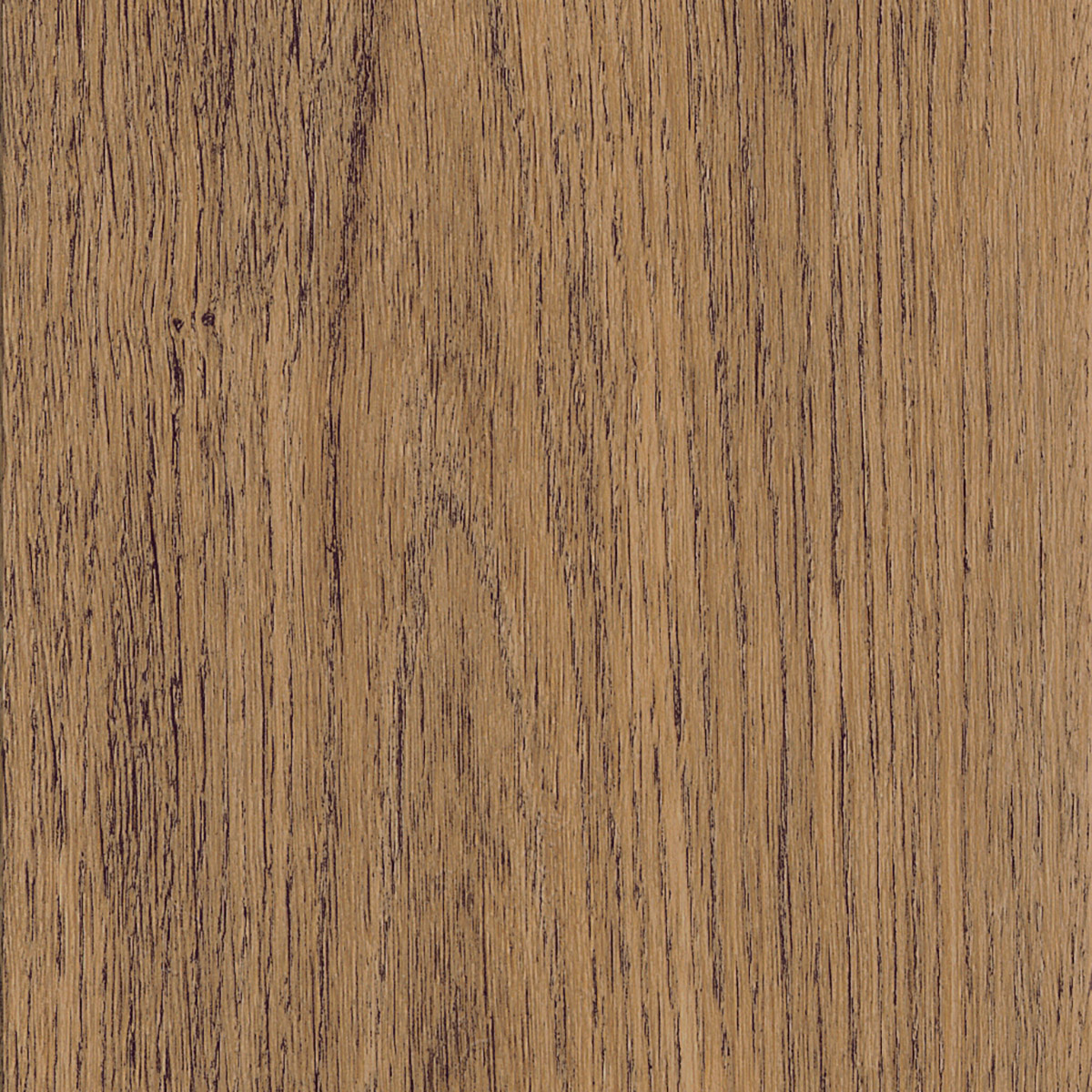 New England Oak - Dusk