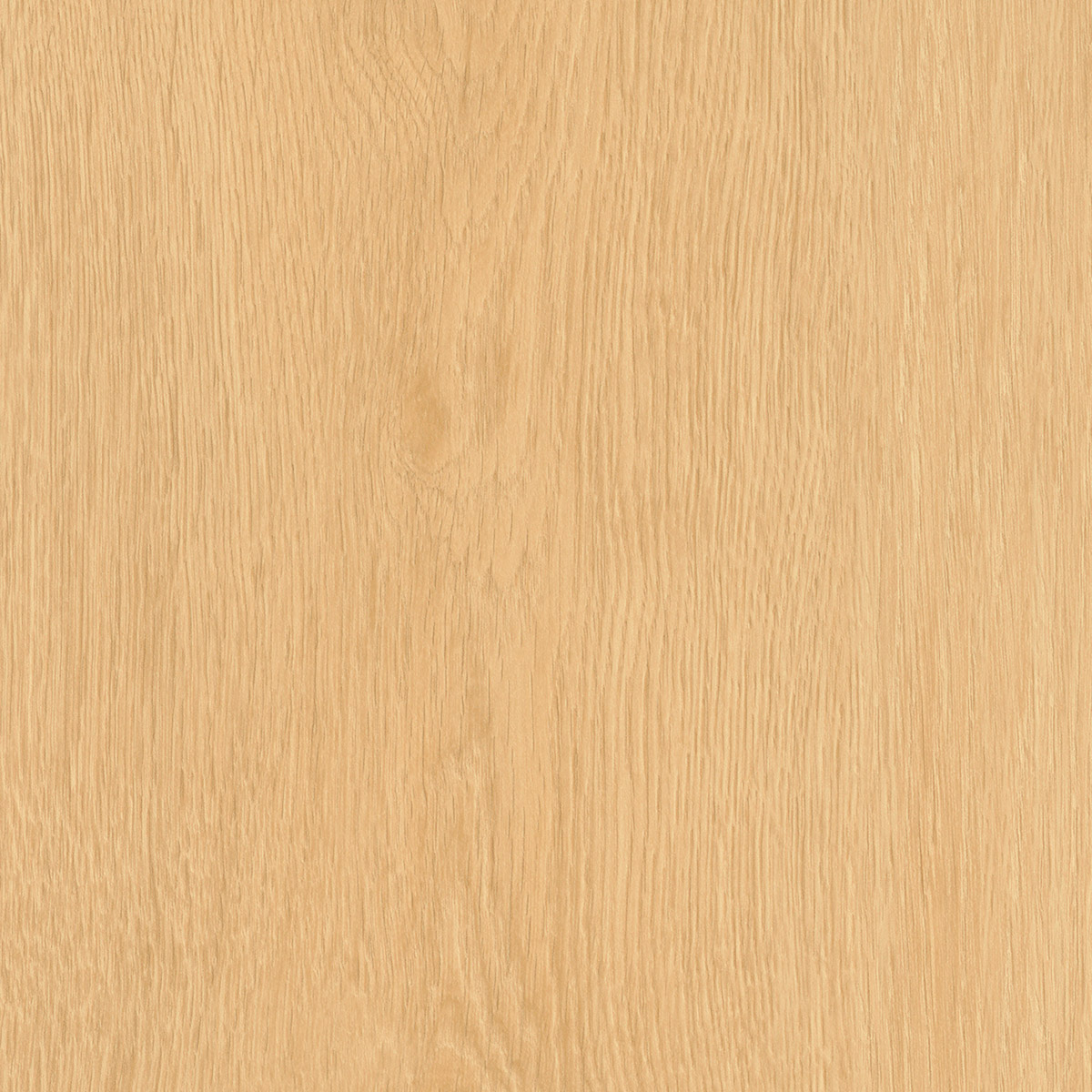 Regency Oak - Croissant