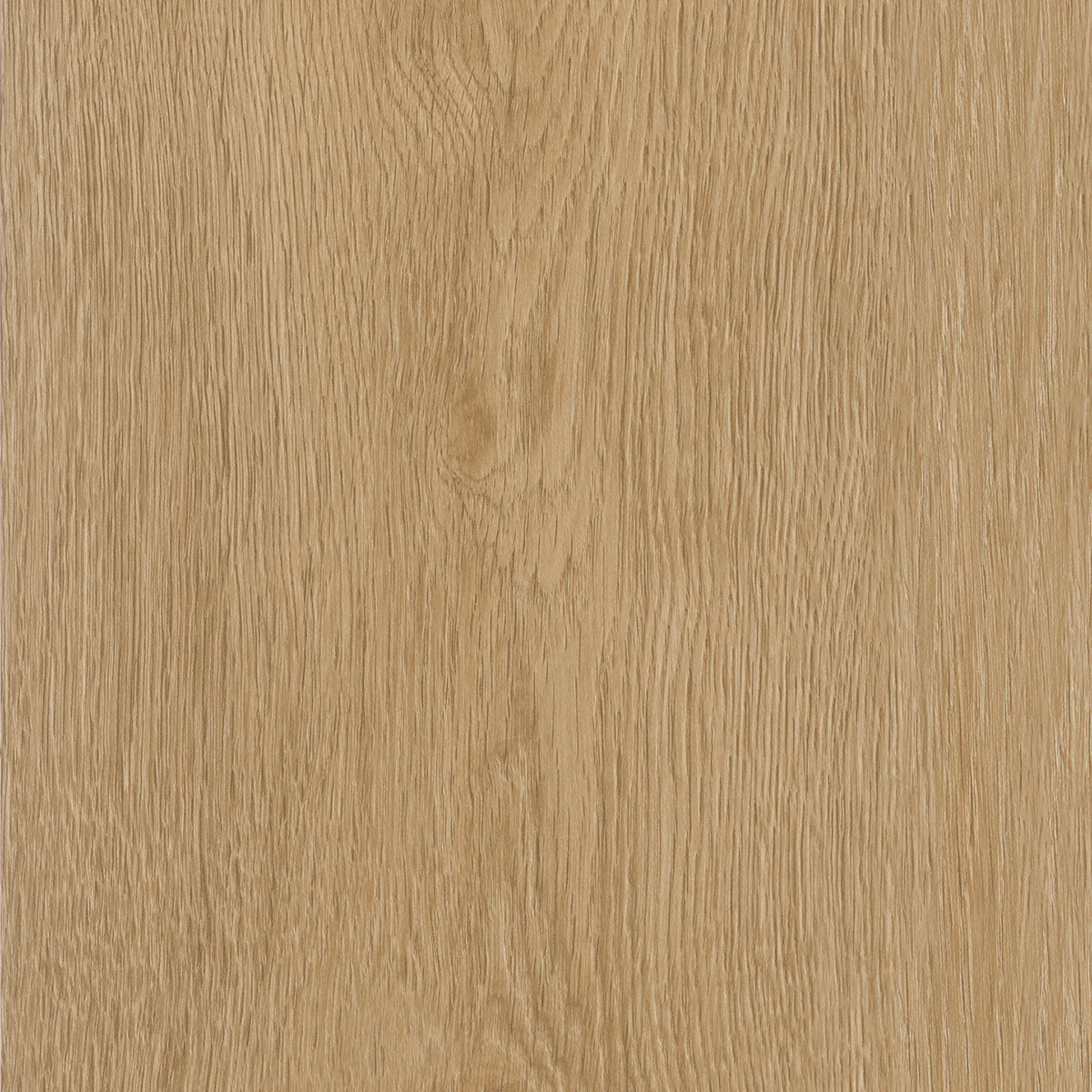 Regency Oak - Croissant
