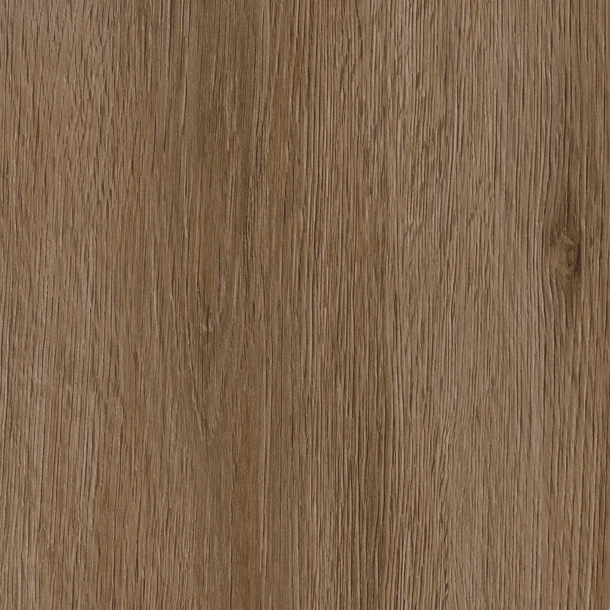 Regency Oak - Croissant