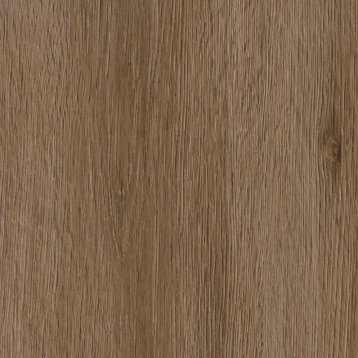 Regency Oak - Croissant