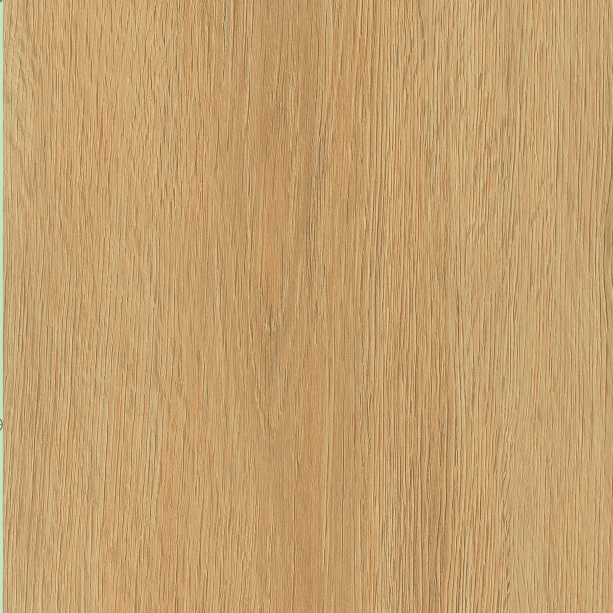 Regency Oak - Croissant