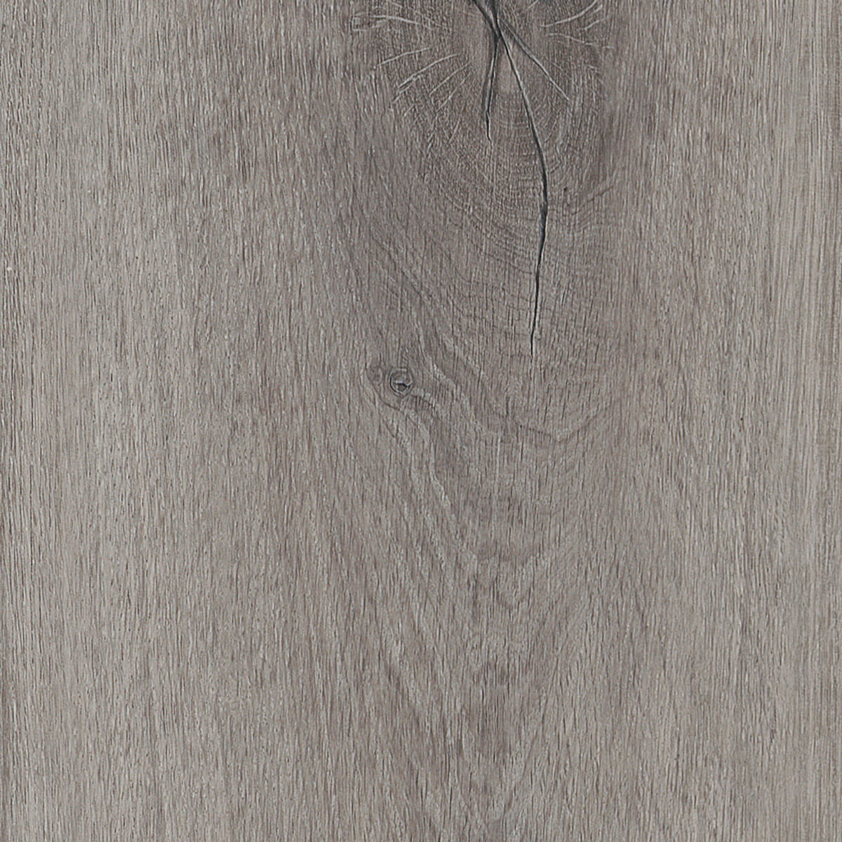 Royal Oak - Traditional