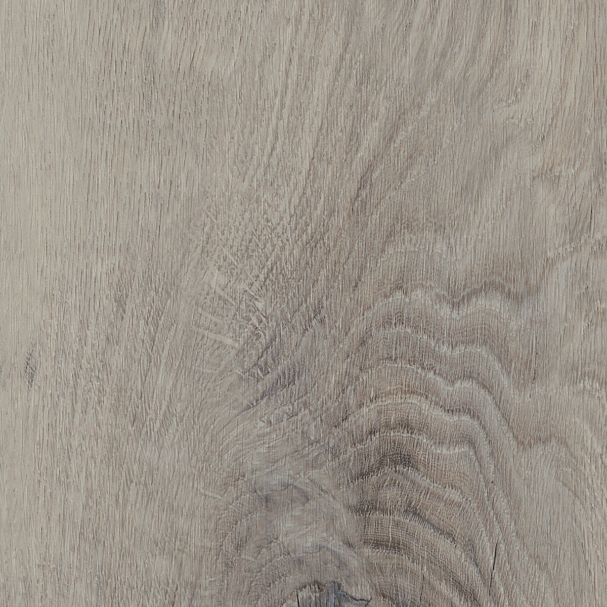 Royal Oak - Traditional