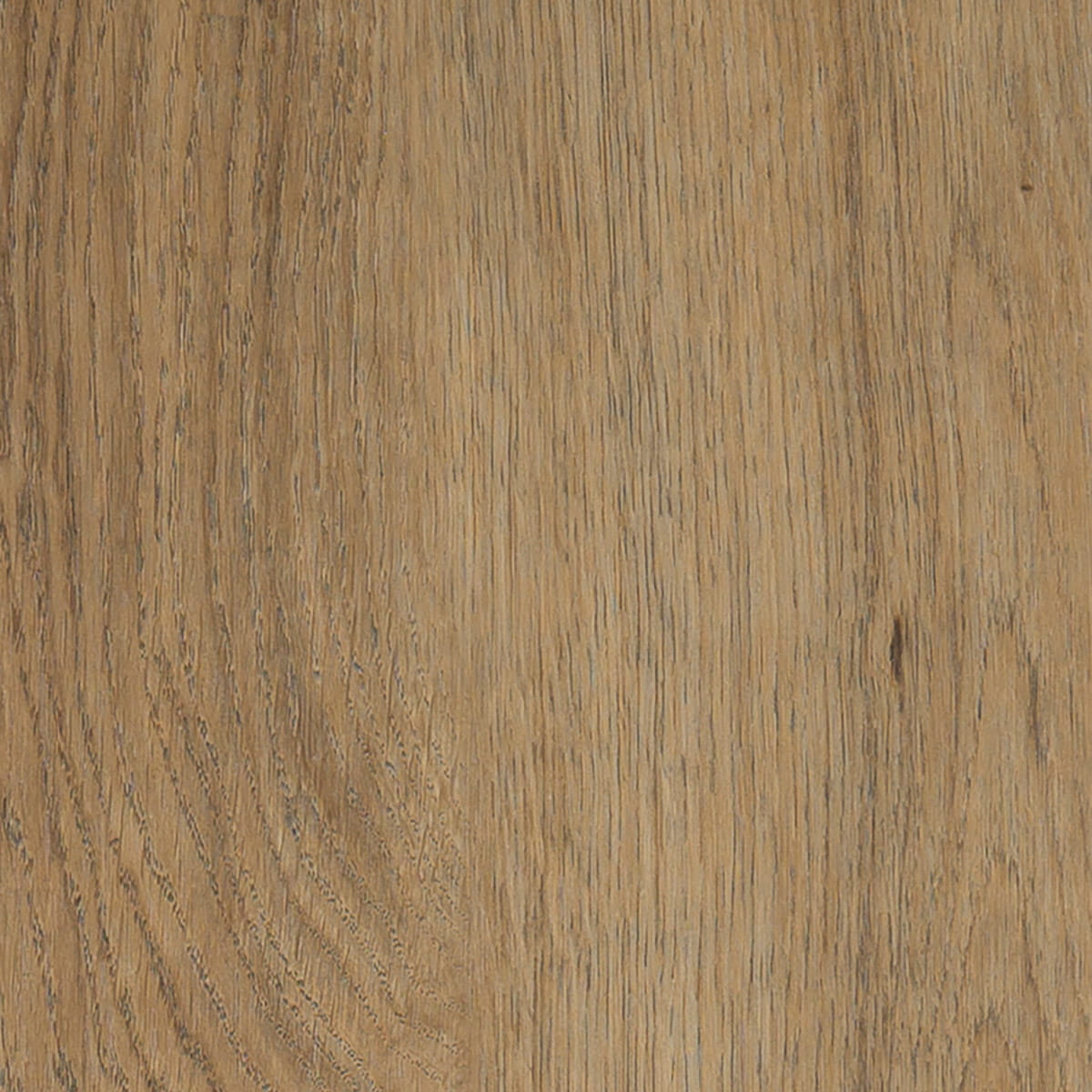 Sienna Oak - Orchid