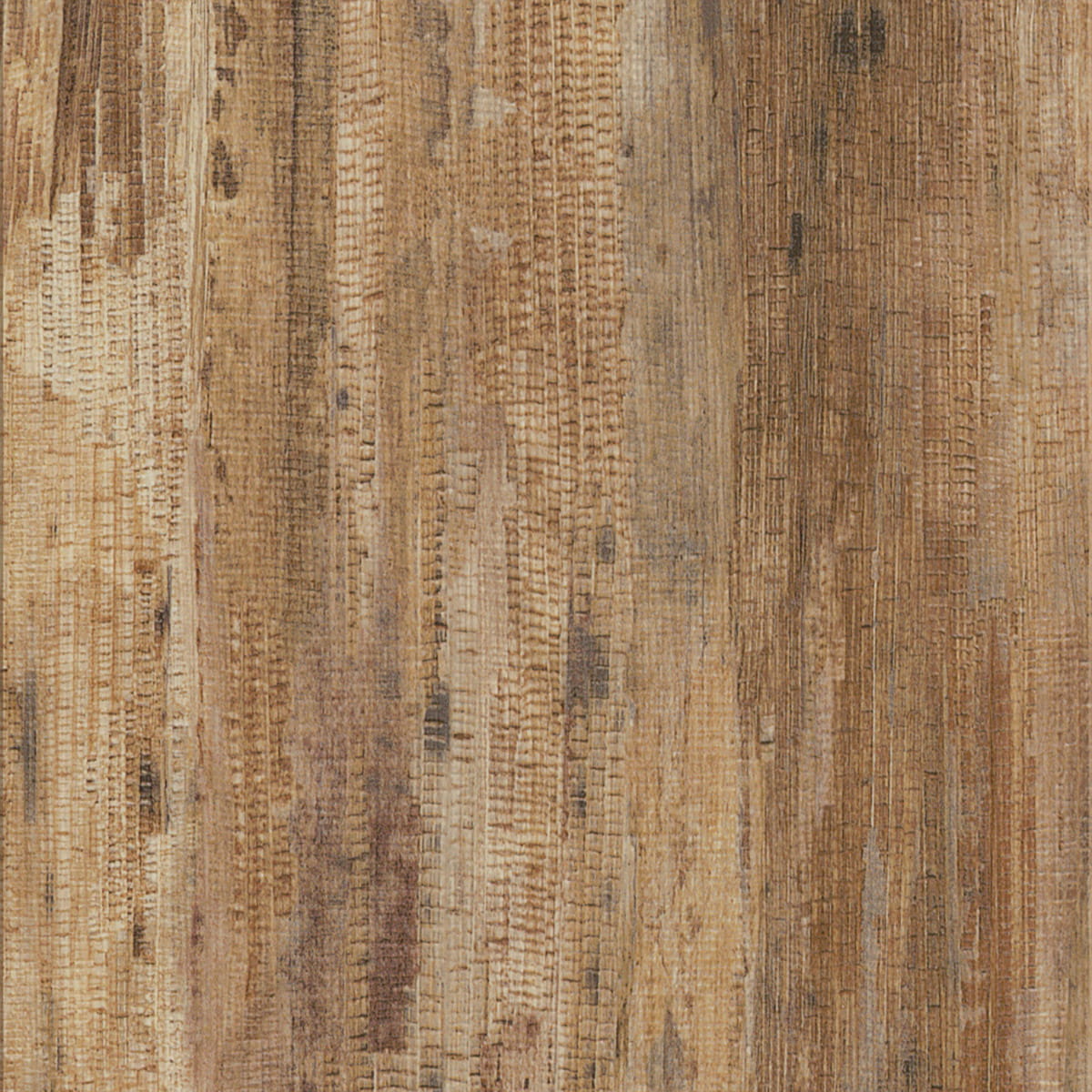 Tropical Forest - Havana