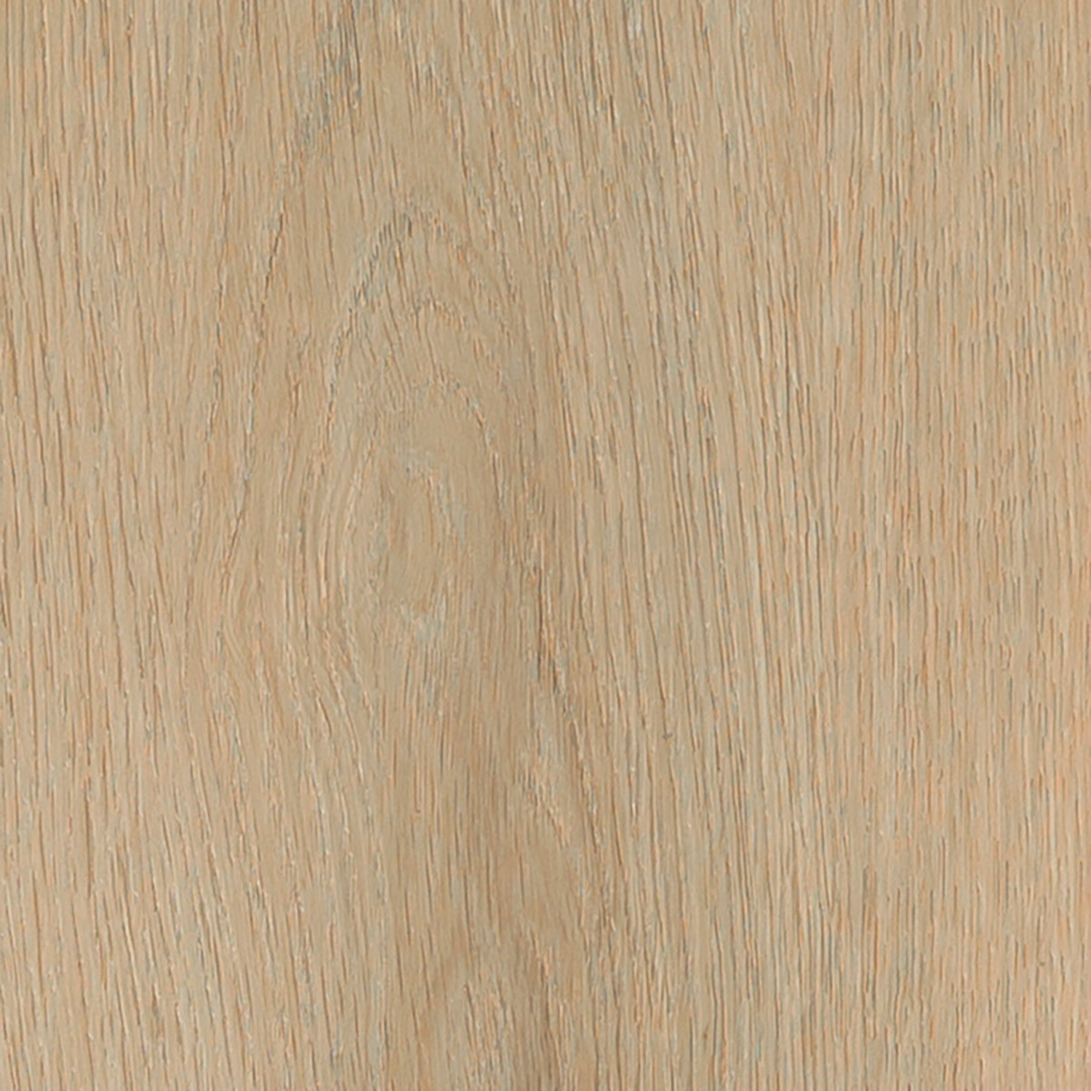 Velvet Oak - Olivia