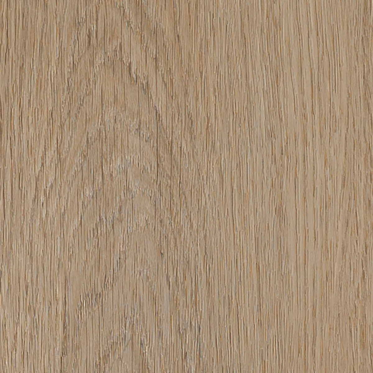 Velvet Oak - Olivia