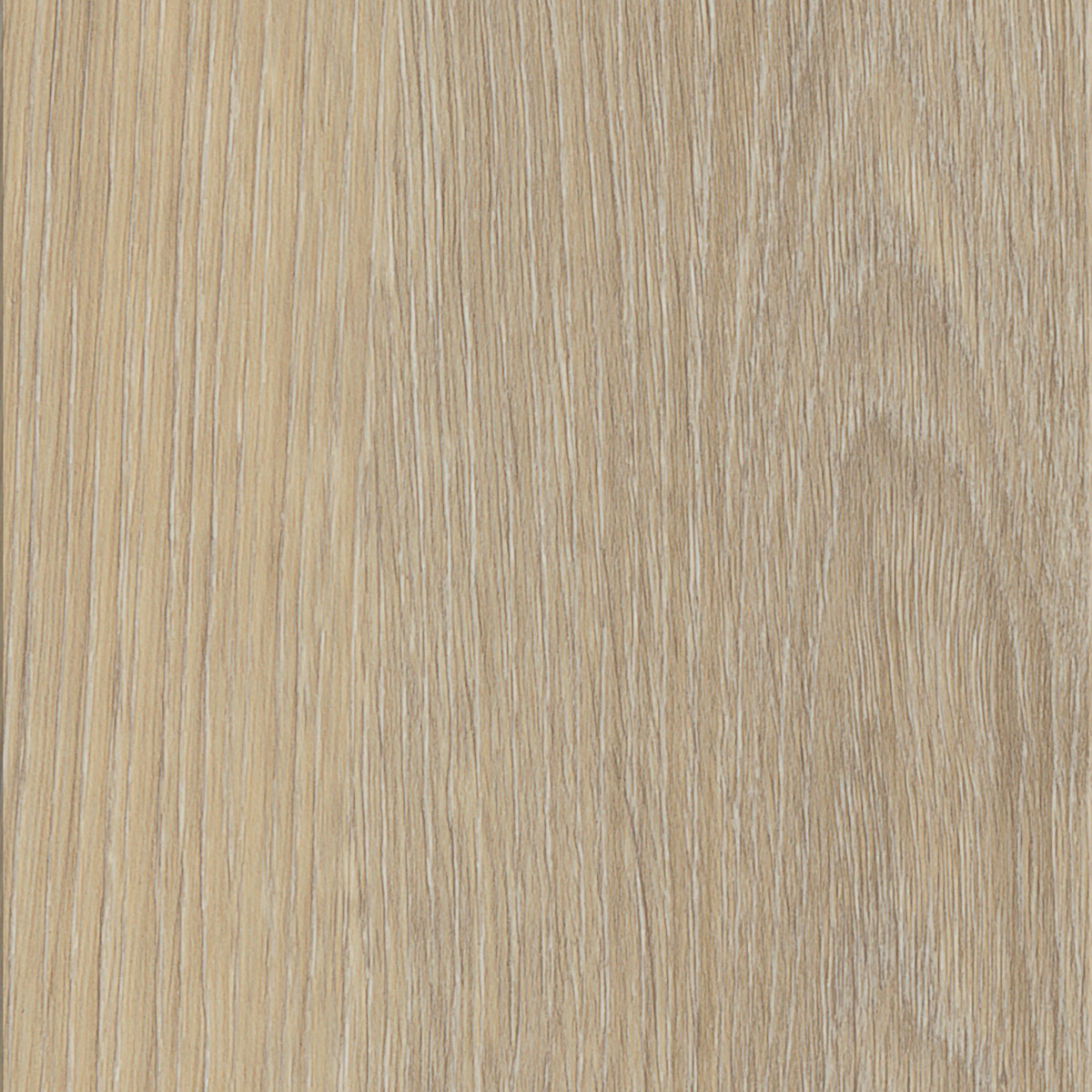 French Oak - Storm