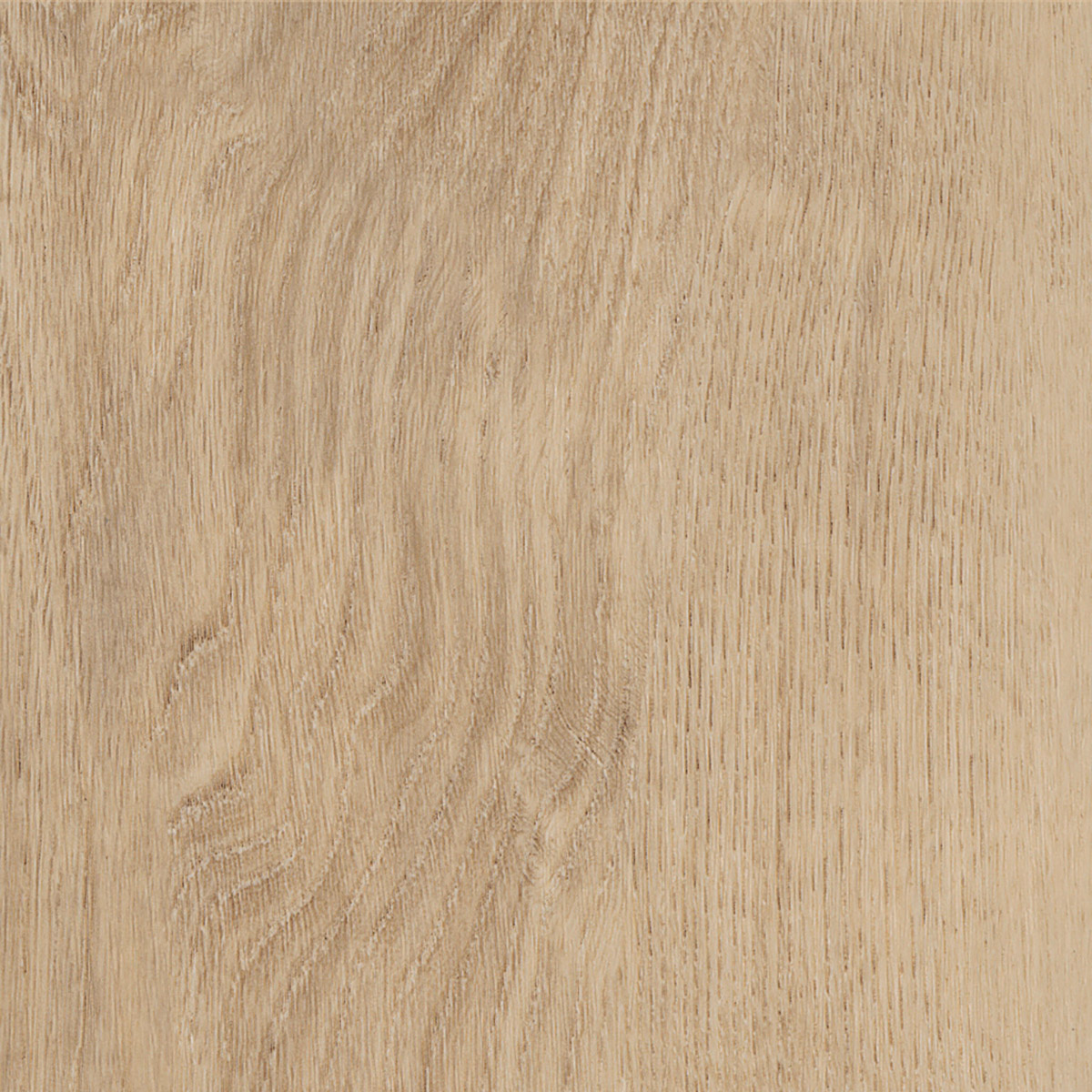 Royal Oak - Traditional