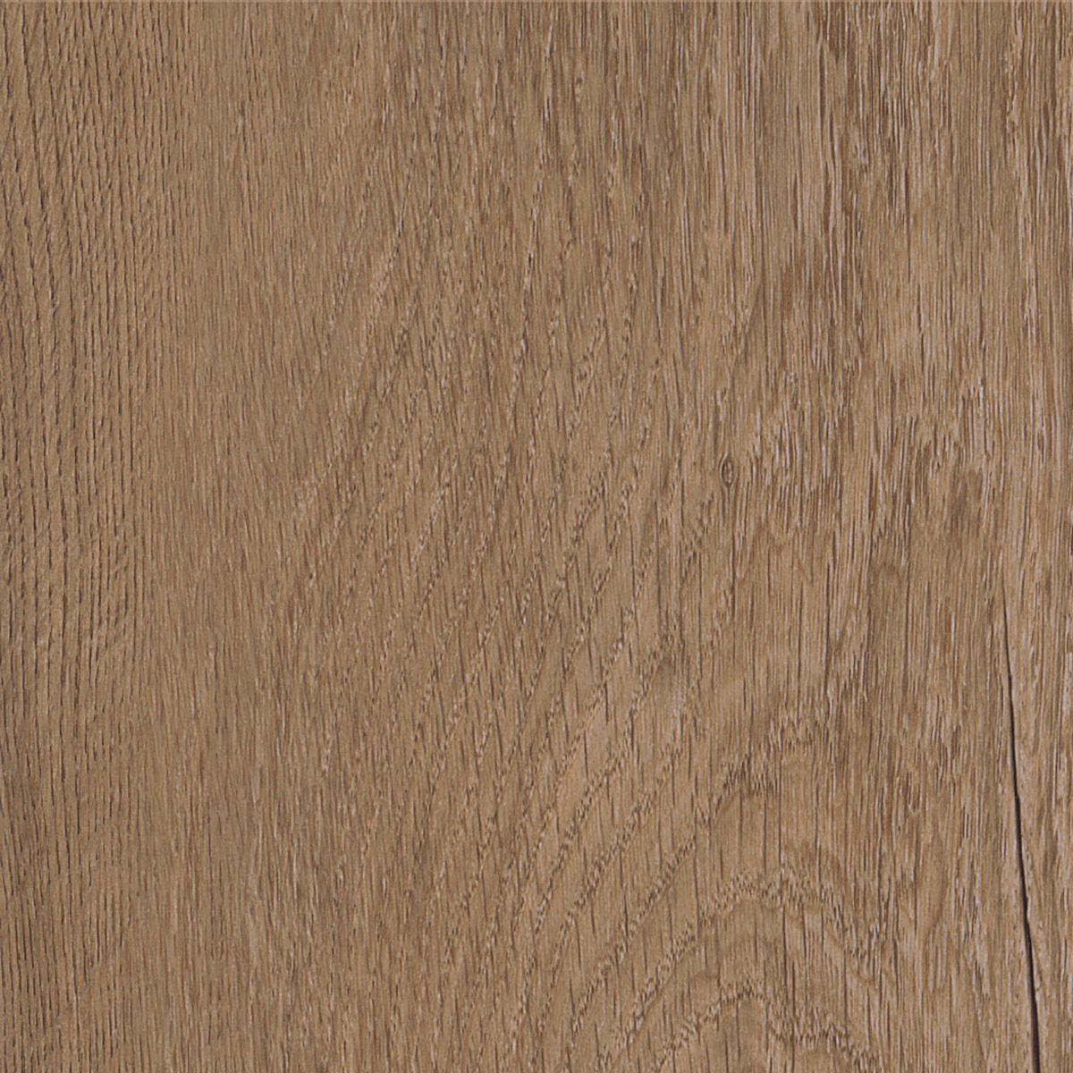 Royal Oak - Traditional